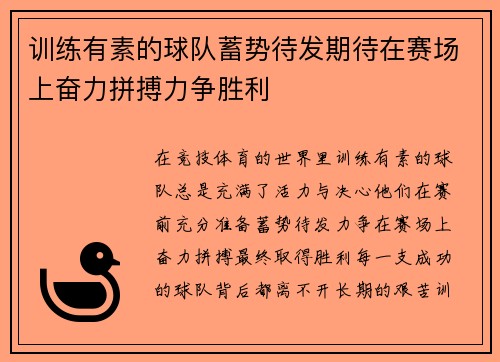 训练有素的球队蓄势待发期待在赛场上奋力拼搏力争胜利