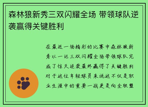 森林狼新秀三双闪耀全场 带领球队逆袭赢得关键胜利