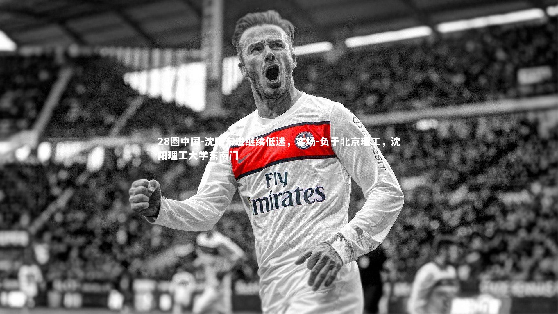28圈中国-沈阳东进继续低迷，客场-负于北京理工，沈阳理工大学东南门