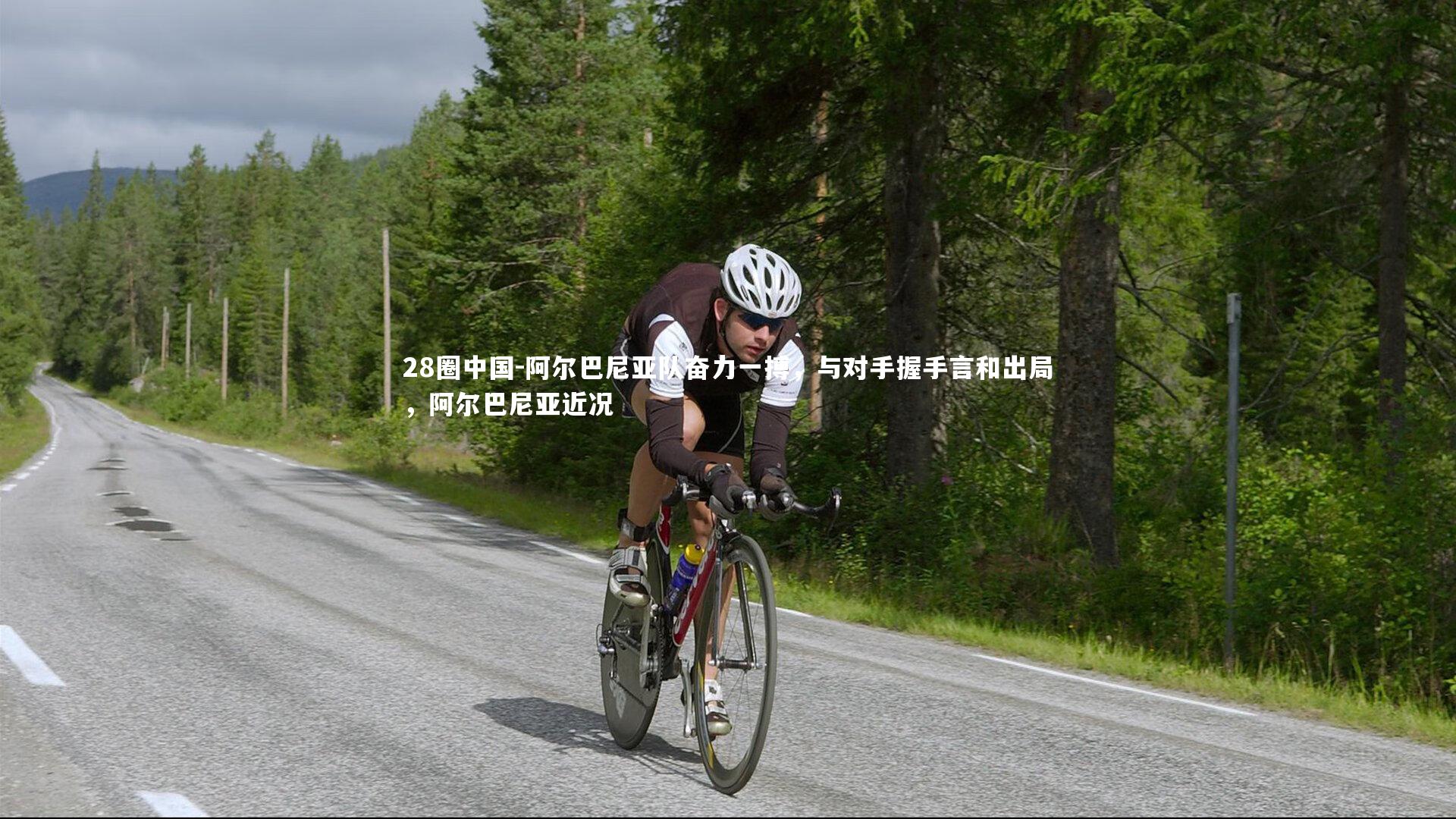 28圈中国-阿尔巴尼亚队奋力一搏，与对手握手言和出局，阿尔巴尼亚近况