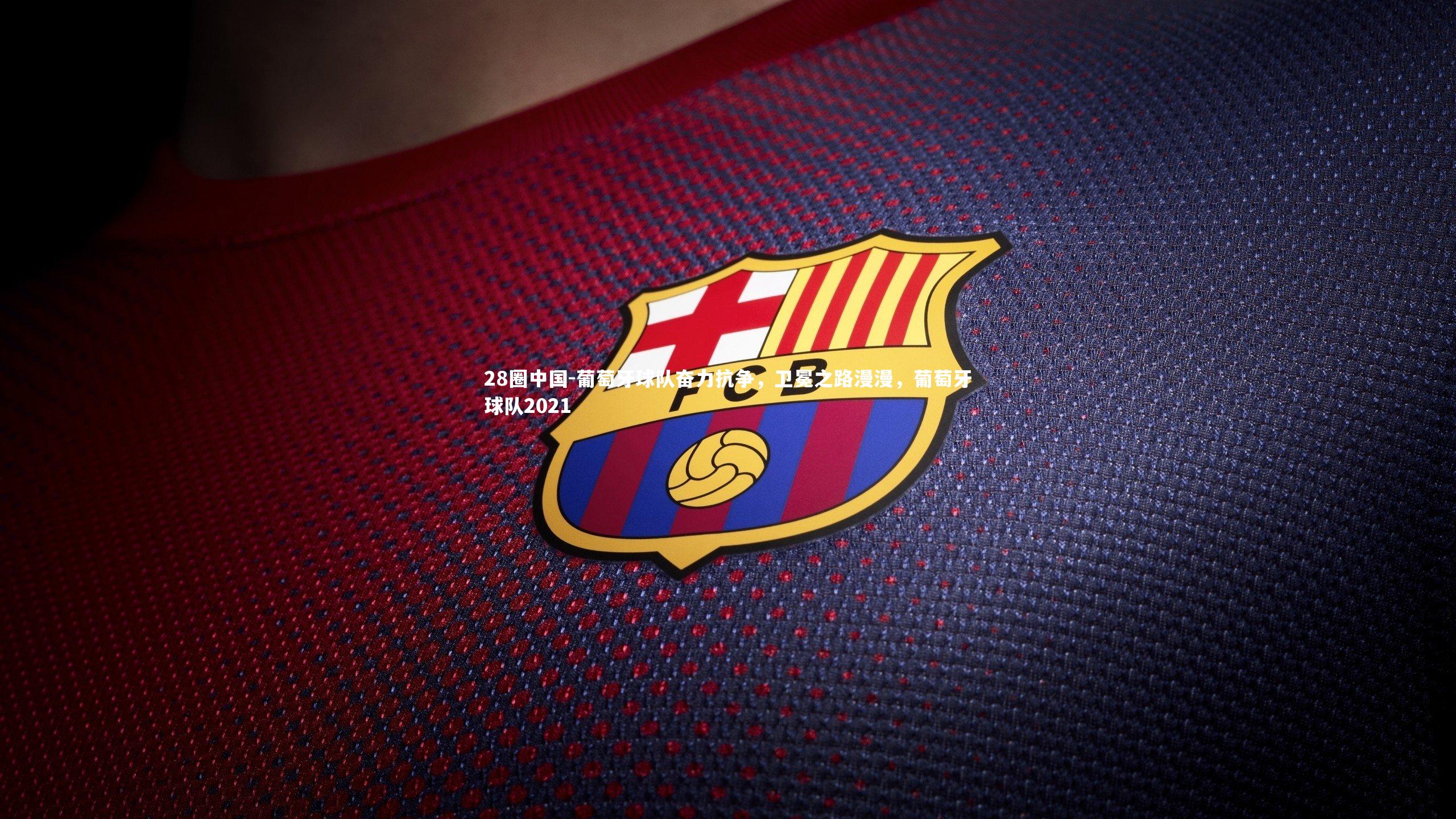 葡萄牙球队奋力抗争,卫冕之路漫漫,葡萄牙球队2021